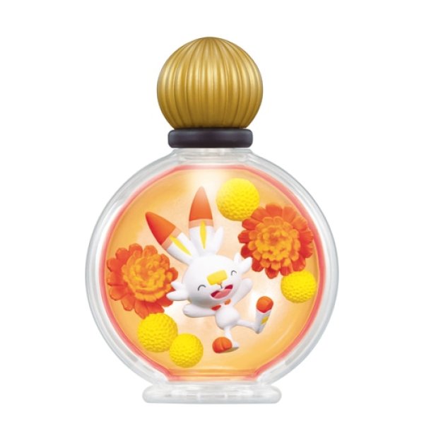 POKEMON - POKEMON PETIT FLEUR - EX GALAR